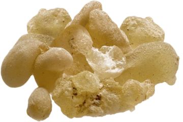 Boswellia: un tesoro della natura per il benessere di tendini e articolazioni